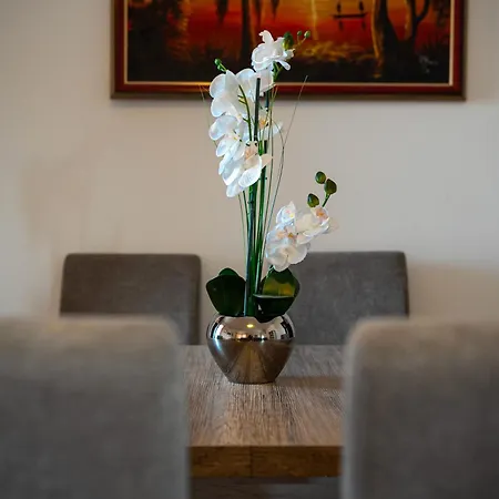 Moraca Three Bedroom Lägenhet Podgorica
